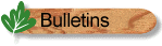 Information Bulletins