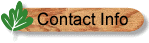 Contact Information